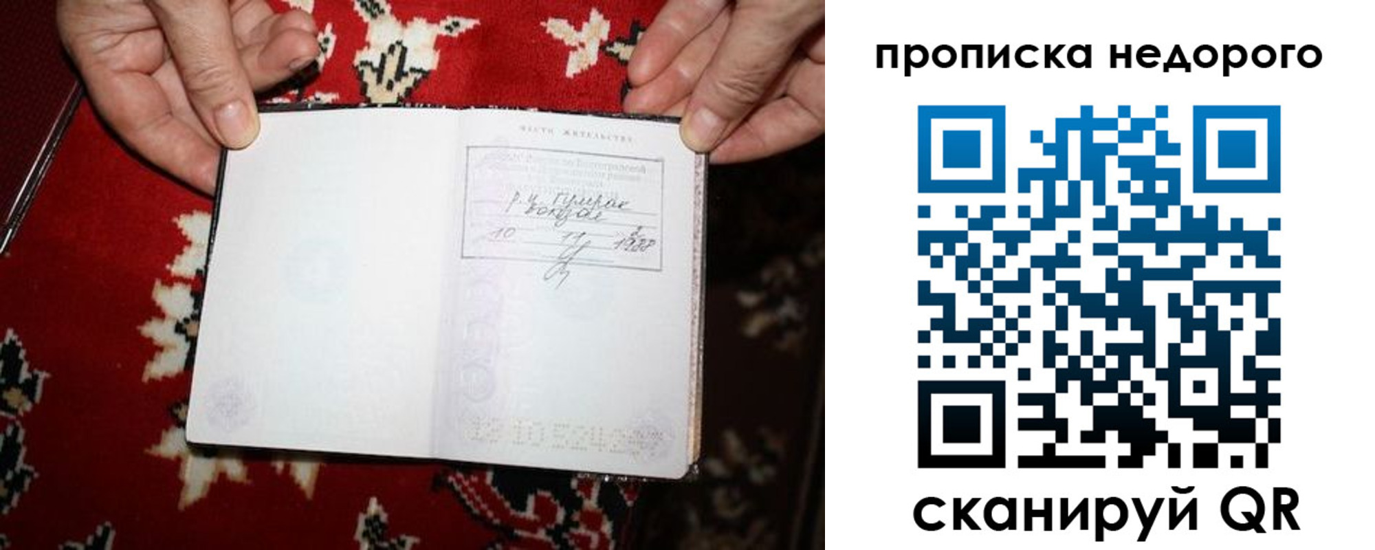 прописка гарантия в Тереке